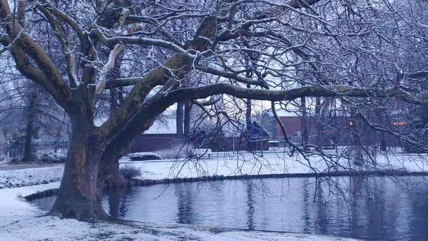 Winterlandschaft Mit Gefrorenem Fluss Einem Bewölkten Tag Stadtpark — Stockfoto