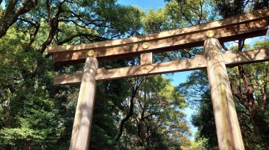 Tokyo, Japonya - 10.26.2019: Meiji Jingu 'lu Otorii' nin ağaçlarla çevrili ön görüntüsü, salgından önceki güneşli bir günde, laik ve kutsal bölge arasındaki sınırı işaret ediyor.