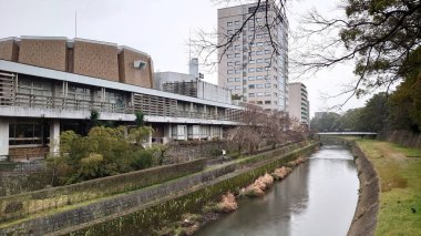 Kumamoto, Japonya - 01.26.2020: Bulutlu bir günde Miyuki Köprüsü 'nden Nagabei Duvarı, Tsuboi Nehri ve Searshome Yume Salonu manzarası
