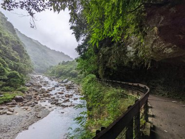 Taroko, Taiwan - 11.26.2022: Empty Shakadang Trail crawls along cliffs and trees with Liwu River running on the side in a mist during the pandemic before 403 earthquake on a rainy day clipart