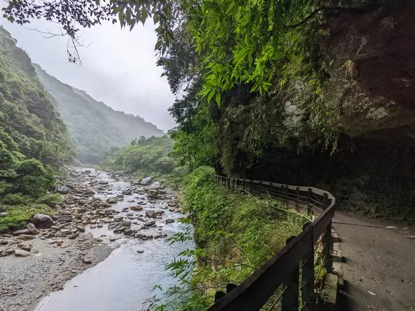 stock image Taroko, Taiwan - 11.26.2022: Empty Shakadang Trail crawls along cliffs and trees with Liwu River running on the side in a mist during the pandemic before 403 earthquake on a rainy day