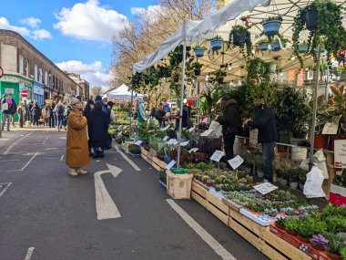 Londra, İngiltere - 04.03.2022: Kalabalık Columbia Road Çiçek Pazarı 'ndaki salgın sırasında sokak satıcıları tarafından açık ve mavi gökyüzü altında sergilenen saksı bitkileri ve buketleri araştıran insanlar