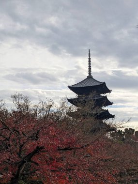 Kyoto, Japan - 2023.12.14: Toji five-storey pagoda hiding behind red leaves on trees in the temples garden under a cloudy sky on a sunny day with silhouette of clouds clipart