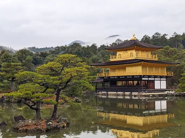 Kyoto, Japonya - 2023.12.15: Kinkaku-ji 'deki Altın Pavyon önünde ekili çam ağaçları, gölde yansıması ve bulutlu bir gökyüzünün altında orman