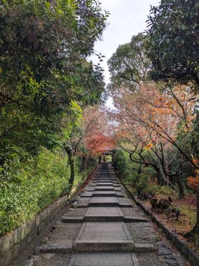 Kyoto, Japonya - 2023.12.16: Kodai-ji 'nin sonbahar yaprakları ve güneş ışığı altındaki yeşilliklerin yanındaki ana girişe giden merdivenlerde bir patika.