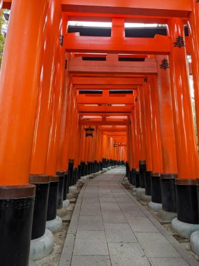 Fushimi, Japan - 2023.12.17: Rows of bigger and higher Torii Gates than those in the famous Senbon Torii along a paved footpath under sunlight with no tourists in Fushimi Inari-taisha clipart