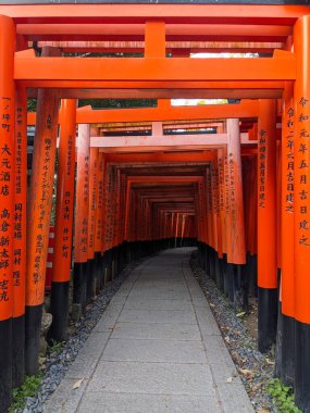 Fushimi, Japonya - 2023.12.17: Senbon Torii 'nin Fushimi Inari-taisha' daki tüneline giriş, sıra sıra kırmızı ahşap yapılar ve sabah kaldırım boyunca bağış yazıları