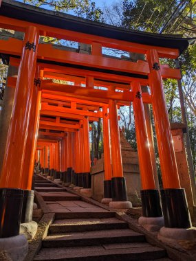 Fushimi, Japonya - 2023.12.17: Torii Gates 'in sıraları, sabahın erken saatlerinde turistler olmadan dağın tepesine çıkan asfalt bir merdiven boyunca uzanır