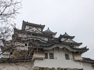 Himeji, Japonya - 12.19.2023: Sonbaharda bulutlu bir gökyüzünün altında çiçek açan kiraz çiçeğiyle Himeji Kalesi 'nin alçak açılı görüntüsü