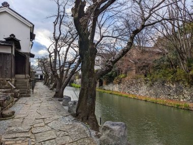 Omihachiman, Japonya - 12.20.2023: Hachimanbori su yolu boyunca, yapraksız ağaçların ve turistler olmadan bulutlu mavi gökyüzünün altında tarihi binaların yanında taşla döşenmiş bir patika