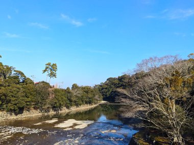 Ise, Japonya - 30.12.2023: Isuzu Nehri 'nin kıyısında, Ise Büyük Tapınağı' nın iç mabedi Naiku 'da açık mavi gökyüzünün altındaki ağaçların yanında, Uji Köprüsü' nden manzara