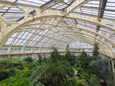 Londra, İngiltere - 07.23.2024: Rönesans tarzı Temperate House 'un içi, Kew Garden' daki katlı çatıların demirden yapılmış kaburgalarını destekleyen sütunlarla korunuyor. 