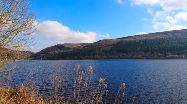 Peak District, İngiltere - 2.25.2018: Açık mavi Ladybower Reservoir 'ın huzurlu ve sakin bir sahnesi önünde kurumuş sazlıklar, arkasında da güneşli mavi bir gökyüzünün altında ormanlık tepeler