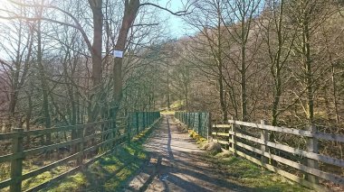 Peak District, İngiltere - 2.25.2018: Ladybower Reservoir 'un sonundaki bir köprü kışın bir orman tepesine çıkan ağaçlar ve ahşap çitlerin yanında ve güneşli mavi gökyüzünün altında yürüyüş yolu altında.