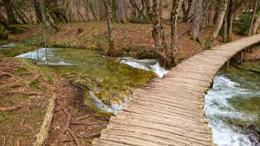 Plitvice Gölleri, Hırvatistan - 12 Nisan 2018: Ağaçlar ve yemyeşil yemyeşil ile çevrili kristal berrak bir dereye yayılmış büyüleyici bir ahşap köprü, baharda doğanın sükunetini resmediyor