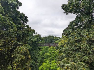 Londra, İngiltere - 07.23.2024: Ağaçlı ve metal bir yürüyüş yolu, ağaçlar arasındaki tepe örtüleri ve Kew Gardens 'ta bulutlu bir gökyüzü altında yapraklar arasında ilerliyor