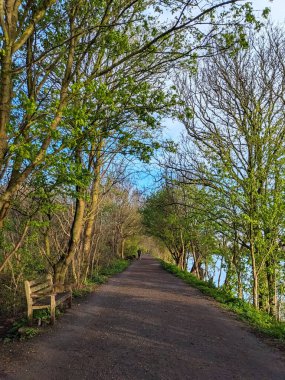Londra - 03.28.2024: Thames Nehri boyunca her iki tarafında ağaçlar ve mavi gökyüzünün altında nehre bakan bir bankla iki kişi geziniyor.