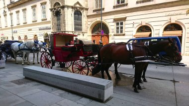 Viyana, Avusturya - 8 Haziran 2018: Viyana 'da güneşli bir sokakta müşterileri bekleyen at arabaları, şehrin zengin kültür mirası ve tarihi mimarisini gözler önüne seriyor