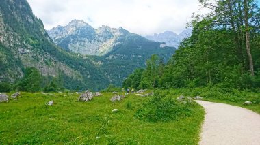 Berchtesgaden Alpleri, Almanya - 6.16.2018: Yeşillik ve görkemli dağlarla çevrili manzaralı bir yolda yürüyen yürüyüşçüler, parçalı bulutlu bir gökyüzü altında, sakin bir açık hava atmosferini yansıtıyorlar