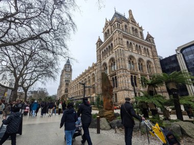 Londra, İngiltere - 2.15.2025: Ziyaretçiler ikonik Doğal Tarih Müzesi 'nin dışındaki patikada gezinerek, bulutlu bir kış gökyüzü altında süslü Romanesk Uyanış mimarisine hayran kaldılar.