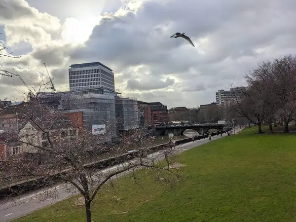 Bristol, İngiltere - 31 Ocak 2025: Bristol Köprüsü üzerindeki kentsel manzara Bristol Köprüsü 'nü gösteriyor, inşaat dahil şehir mimarisi, insanlar yürüyor, bulutlu gökyüzünün altında çiçek açan bir ağaç ve martı