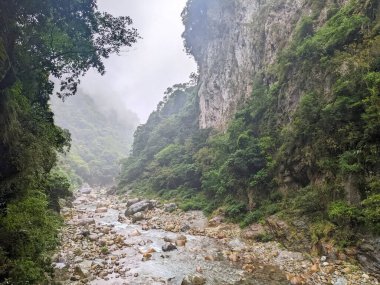 Taroko, Tayvan - 26 Kasım 2022: Bulutlu bir gökyüzü altında sisli bir günde, sarp kayalıklar ve Taroko Gorge Ulusal Parkı 'nın yoğun yeşil ormanları arasında açık bir nehir akmaktadır.