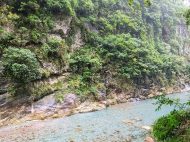 Taroko, Tayvan - 26 Kasım 2022: Nehrin berrak mavi suyu yoğun yeşil bitki örtüsüyle çevrili kayalık bir yatağın üzerinde akıyor ve belirgin katmanlı kaya oluşumlarını gösteriyor