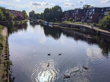 Londra, İngiltere - 21 Eylül 2021: Kazlar sakin nehir Lea 'da dar kayıklar ve modern yerleşim binalarıyla birlikte, parlak bir gökyüzünün altından geçen yaya köprüsü ile yüzüyor