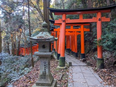Fushimi, Japonya - 17 Aralık 2023: Kyoto 'daki tarihi Fushimi Inari Taisha tapınağının ikonik vermilion torii kapılarından geçen bir orman yolu üzerinde bir taş fener duruyor