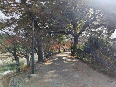 Uji, Japonya - 17 Aralık 2023: Manzaralı bir kaldırım taşı yolu Uji Nehri 'nin yanında uzanır, parlak güneş ışığı bu ünlü Kyoto ilçe parkının etrafındaki bereketli ağaçlardan uzun gölgeler yaratır.