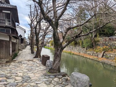 Shiga, Japonya - 20 Aralık 2023: Omihachiman 'da çıplak kış ağaçları ve geleneksel ahşap tüccar evleriyle kaplı tarihi Hachiman-bori kanalı boyunca sakin bir kaldırım taşı yolu uzanıyor.