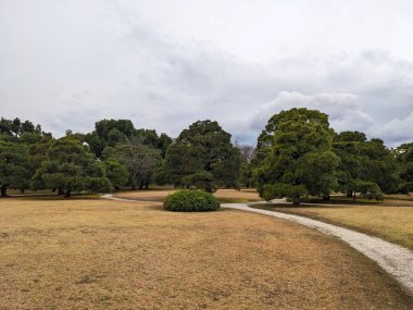 Kyoto, Japonya - 2023.12.16: Nijo Kalesi 'ndeki Ninomaru Sarayı' nın yanındaki iyi korunmuş çam ağaçlarıyla dolu bahçeye uzanan patika bulutlu bir gökyüzünün altında.