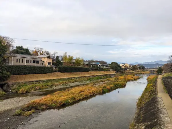 Kyoto, Japonya - 2023.12.15: Kamo Nehri 'nin ortasında çalılar, patikalar ve sonbaharda bulutlu bir gökyüzünün altında evler, Demachiyanagi yakınlarındaki bir köprüden manzara 