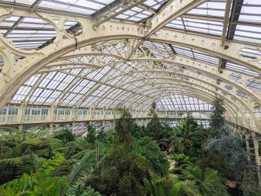 Londra, İngiltere - 07.23.2024: Rönesans tarzı Temperate House 'un içi, Kew Garden' daki katlı çatıların demirden yapılmış kaburgalarını destekleyen sütunlarla korunuyor. 