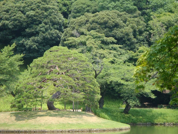 Японский Сад Культура Которую Чувствовал Прекрасной — стоковое фото