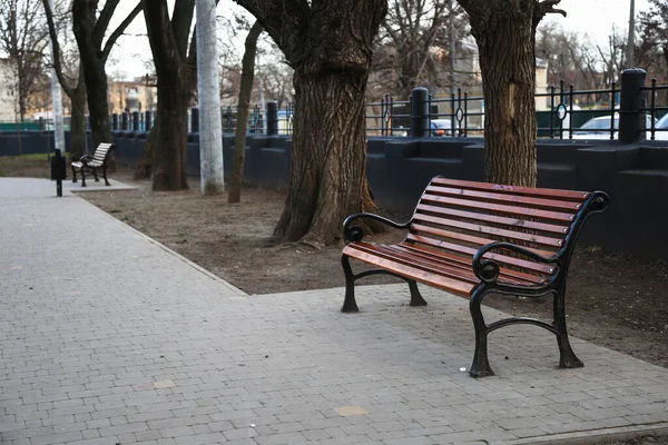 Bench Empty City Park — Stock Photo, Image