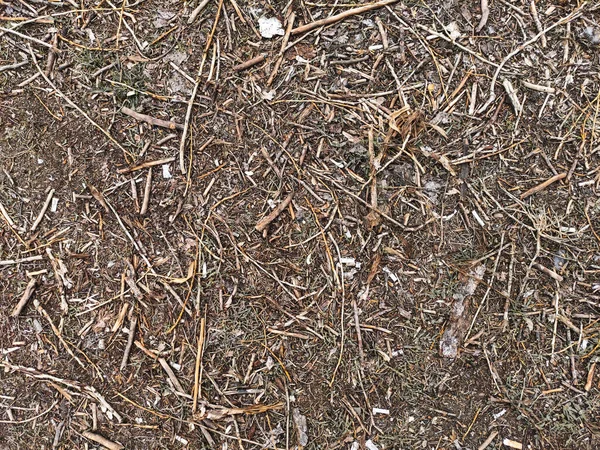 Ground Sticks Garbage Background Texture — Stock Photo, Image