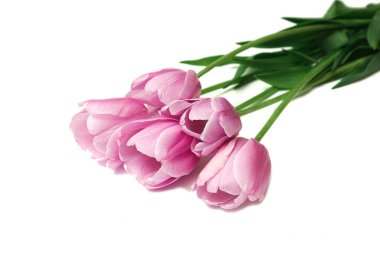 Beyaz arka plan üzerinde izole bahar çiçek pembe laleler