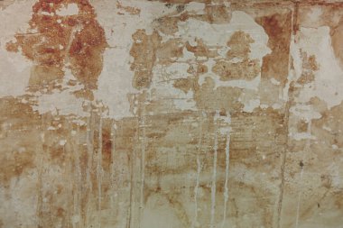 Duvar acil bir durumda, alçı soyuluyor, küf dökülüyor, harika bir şey bekliyor.