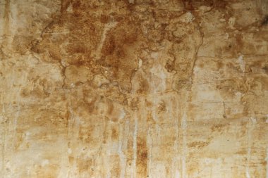 Duvar acil bir durumda, alçı soyuluyor, küf dökülüyor, harika bir şey bekliyor.