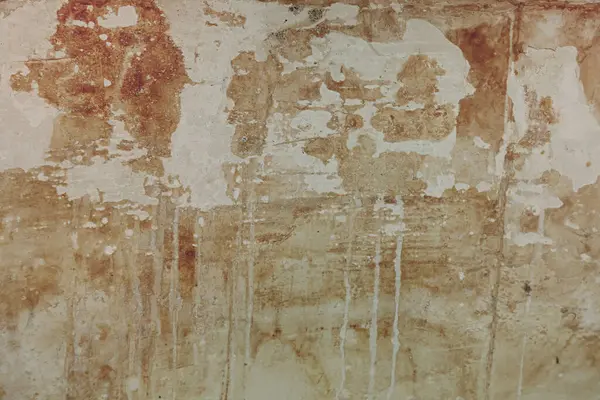 Duvar acil bir durumda, alçı soyuluyor, küf dökülüyor, harika bir şey bekliyor.