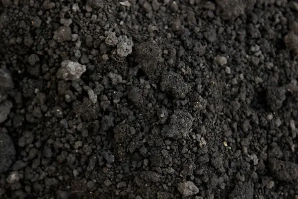 Doku. Toprak üstüne yağmur, solucanların izleri.