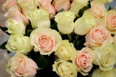 Bir buket lezzetli sarı ve yeşil yapraklı pembe gül.