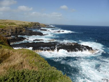 Deniz kıyısının güzel manzarası Phillip Adası