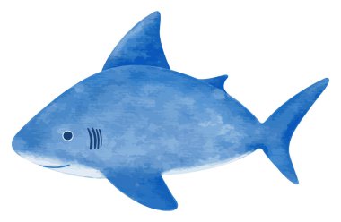 Beyaz arka planda gülümseyen mavi köpekbalığının vektör suluboya çizimi, el çizimi çizgi film karakteri