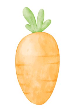 suluboya Paskalya havucu vektör çizimi