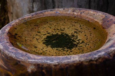 Eski bir kil kavanozunun açılışında durgun su ve algler. Doku ve çürümenin soyut bir görüntüsü