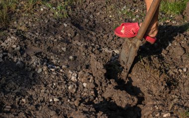 Bahçede kürekle toprağı kazan biri. Bahçe işleri, tarım ve el işçiliği kavramı.