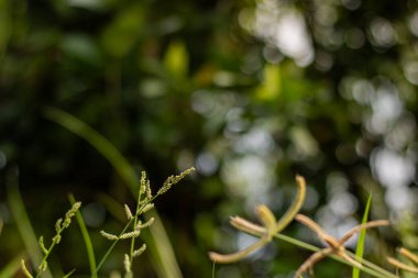 Antik toprak ve kaya dokusu çarpıcı bir ışık altında. Arkeoloji, tarih ve keşif temaları için soyut, gizemli bir arkaplan