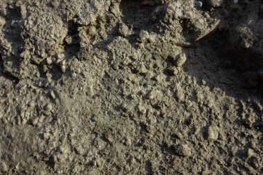 Islak çamur veya sert ışık altında çamurun yakın çekim dokusu. Toprak ve doğanın soyut, organik ve ham bir arka planı.